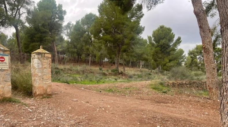 Múrcia - Murcia - 14000m2