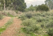 Terreny no urbanitzable en venda a la España, Múrcia, ref.: TR117013 foto
