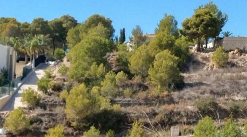 Alicante - Benisa - 1349m2