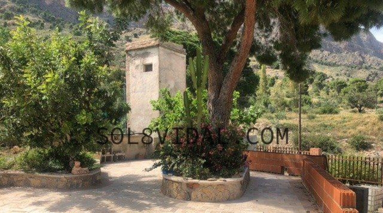 Alicante - Orihuela - 2000m2