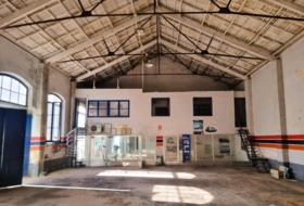 Foto 10
