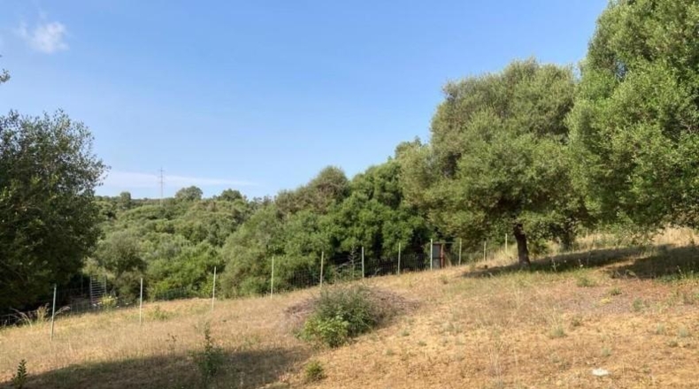 Cádiz - La Línea de la Concepción - 6000m2