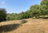 Chalet independiente con terreno en venta en la España, La Línea de la Concepción, ref: TR146600 foto