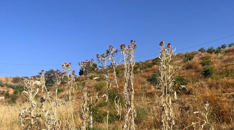 Málaga - Алаурин-эль-Гранде - 18206m2