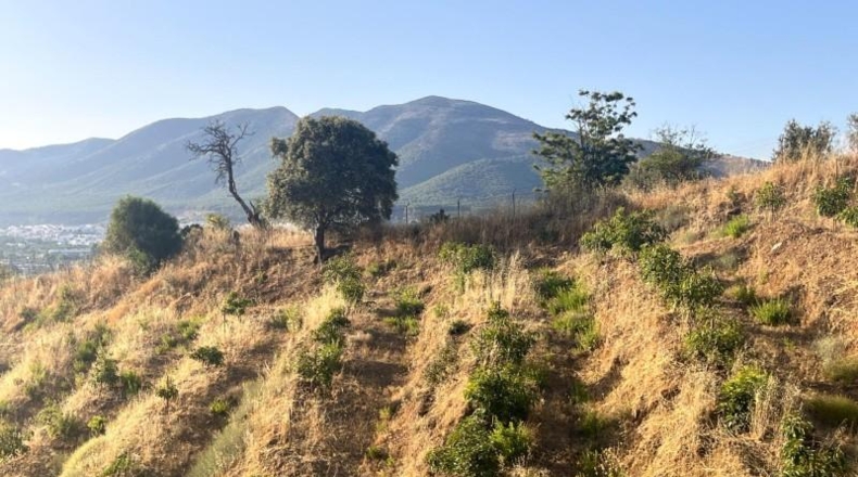 Málaga - Алаурин-эль-Гранде - 18206m2