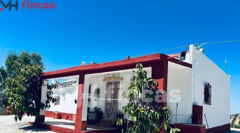 Seville - Morón de la Frontera - 241932m2
