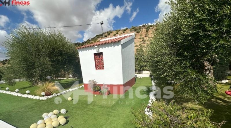 Seville - Morón de la Frontera - 241932m2