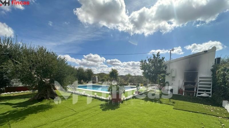 Seville - Morón de la Frontera - 241932m2