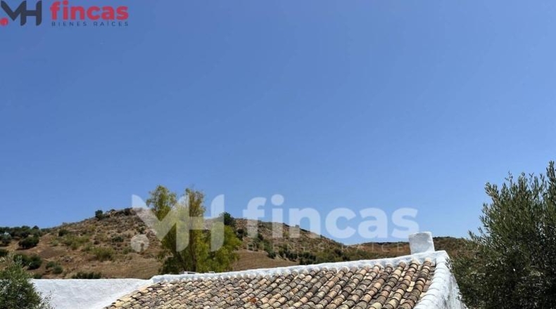 Seville - Morón de la Frontera - 241932m2