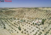 Xalet independent amb terreny en venda a la España, Morón de la Frontera, ref.: TR249029 foto