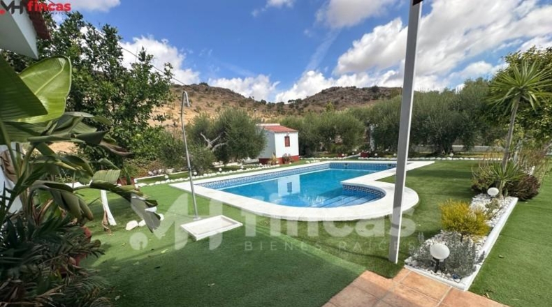 Seville - Morón de la Frontera - 241932m2