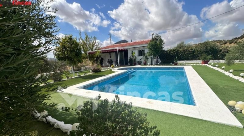 Seville - Morón de la Frontera - 241932m2