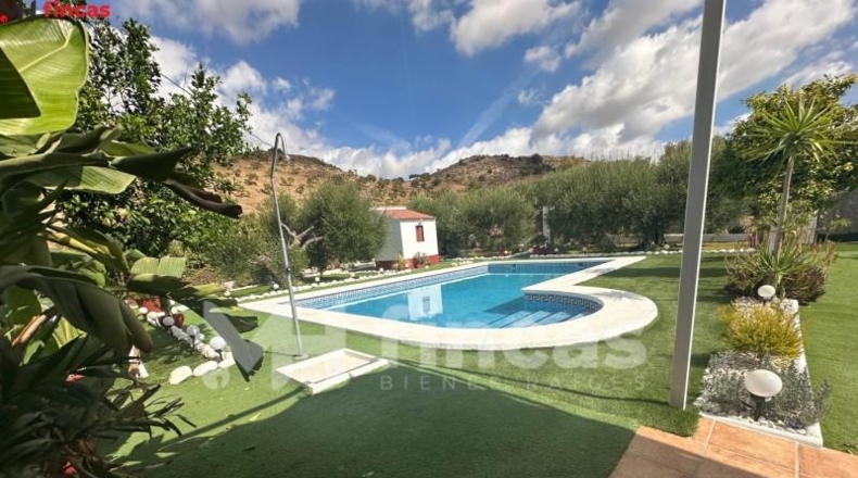 Seville - Morón de la Frontera - 241932m2