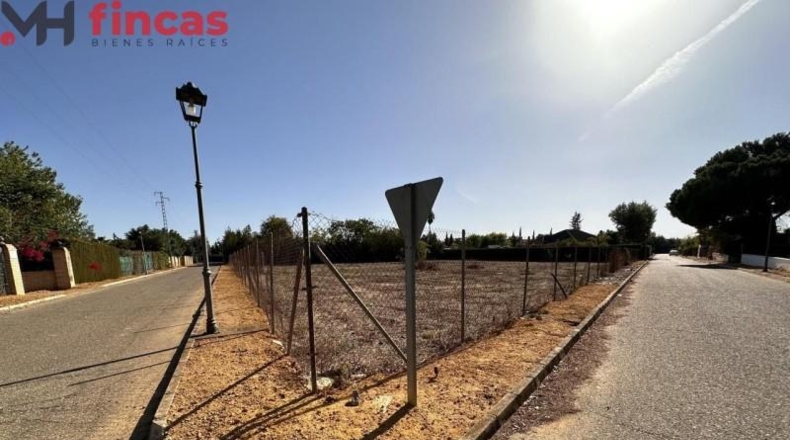 Sevilla - Albaida del Aljarafe - 10420m2