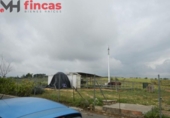 Parcel·la urbanitzable en venda a la España, Albaida del Aljarafe, ref.: TR276031 foto