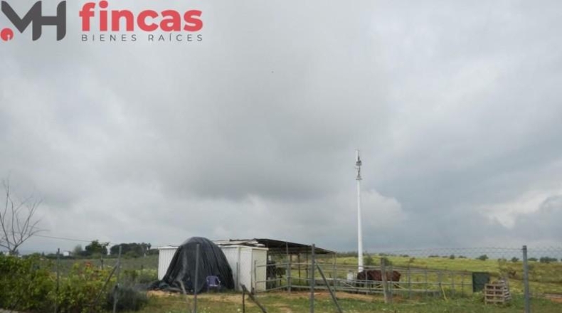 Sevilla - Albaida del Aljarafe - 10420m2