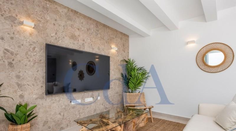 Alicante - Dolores - 219m2