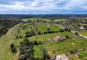 Xalet independent amb terreny en venda a la España, Santa Margalida, ref.: TR239747 foto