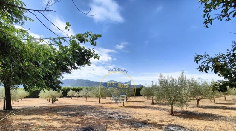 Alicante - Bañeres - 8200m2