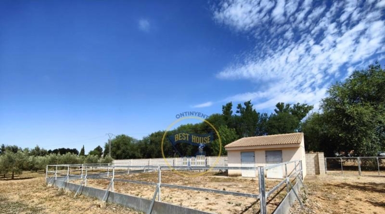 Alicante - Bañeres - 8200m2