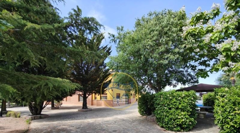 Alicante - Bañeres - 8200m2