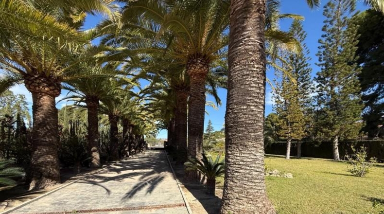 Alicante - Novelda - 2540m2