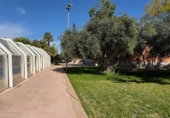 Xalet independent amb terreny en venda a la España, Novelda, ref.: TR240816 foto