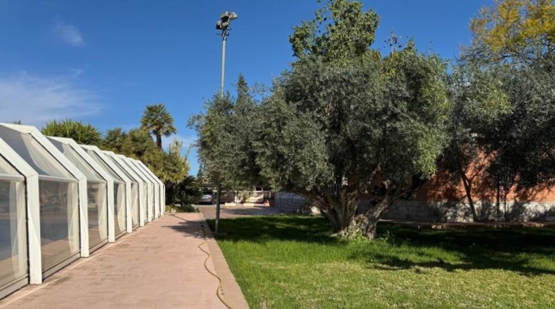 Alicante - Novelda - 2540m2