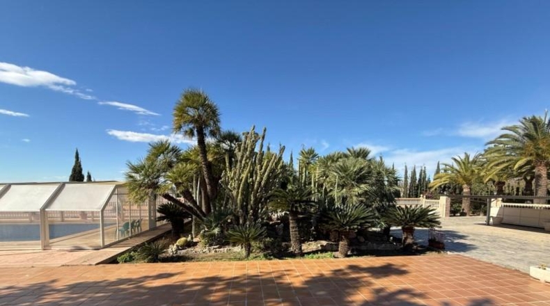 Alicante - Novelda - 2540m2