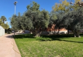 Xalet independent amb terreny en venda a la España, Novelda, ref.: TR240816 foto