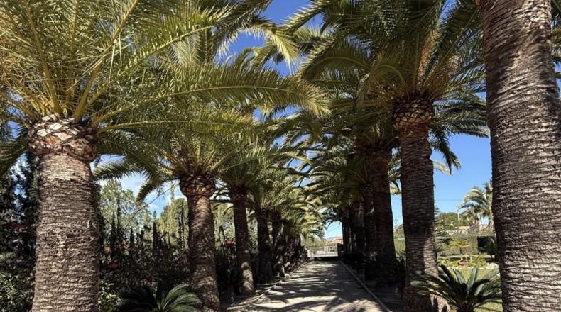 Alicante - Novelda - 2540m2