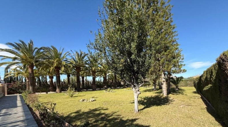 Alicante - Novelda - 2540m2