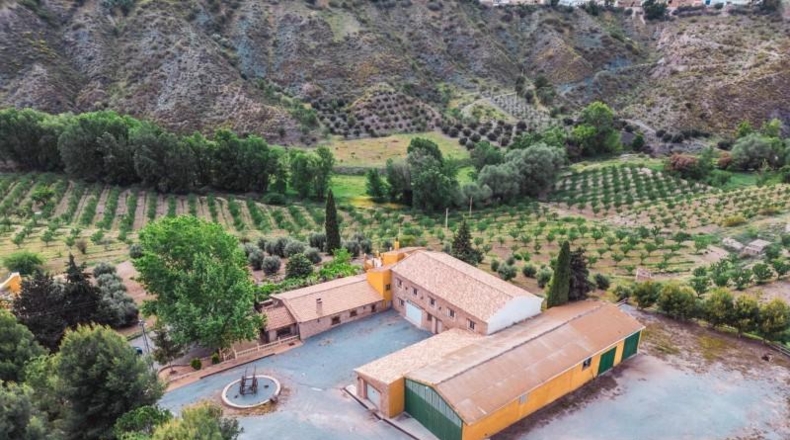 Granada - Baza - 45000m2