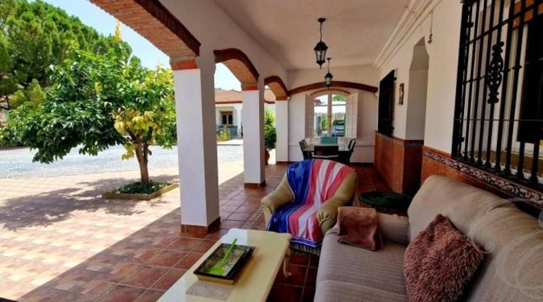 Granada - Moraleda de Zafayona - 4645m2