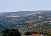 Xalet independent amb terreny en venda a la España, Moraleda de Zafayona, ref.: TR318224 foto
