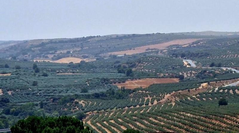 Granada - Moraleda de Zafayona - 4645m2