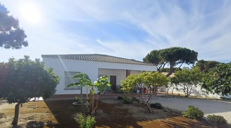 Cádiz - Chiclana de la Frontera - 719m2