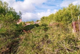 Capdepera 610&nbsp;m² 