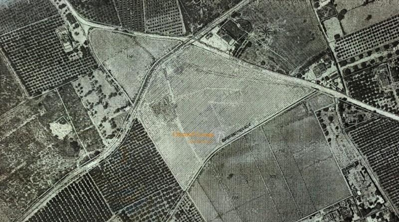 Alicante - Elche - 62000m2