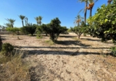 Finca rústica en venda a la España, Matola, ref.: TR376768 foto