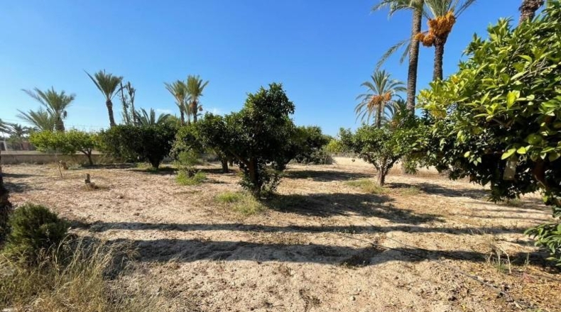 Alicante - Elche - 4513m2