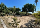 Finca rústica en venda a la España, Matola, ref.: TR376768 foto