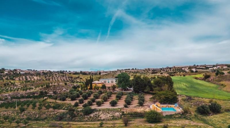 Granada - Baza - 45000m2