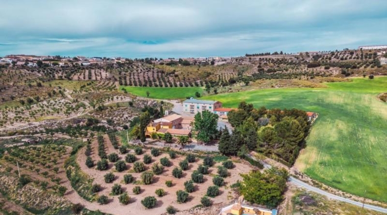 Granada - Baza - 45000m2