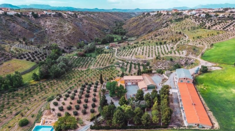 Granada - Baza - 45000m2