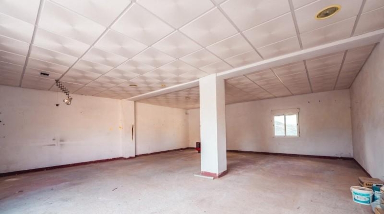 Granada - Baza - 45000m2