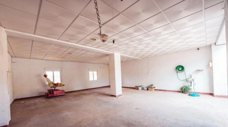 Granada - Baza - 45000m2