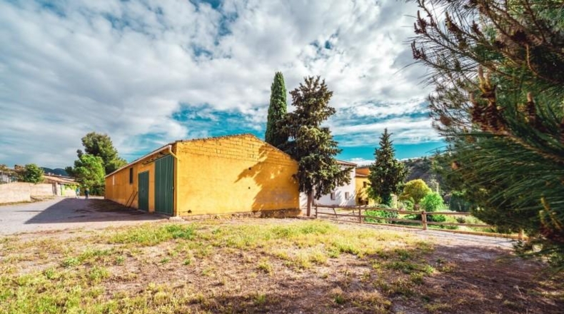 Granada - Baza - 45000m2