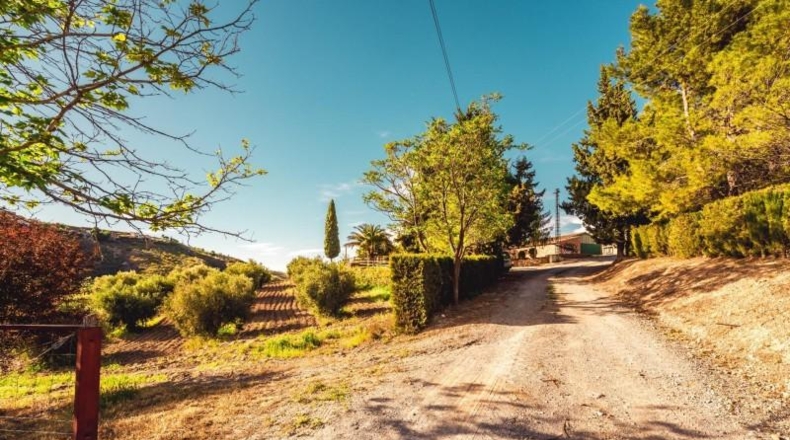 Granada - Baza - 45000m2