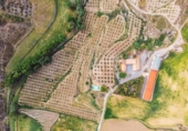 Загородный дом с участком на продажу в городе Baza Фото